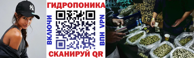 Бошки марихуана сатива  как найти   Новая Ляля 